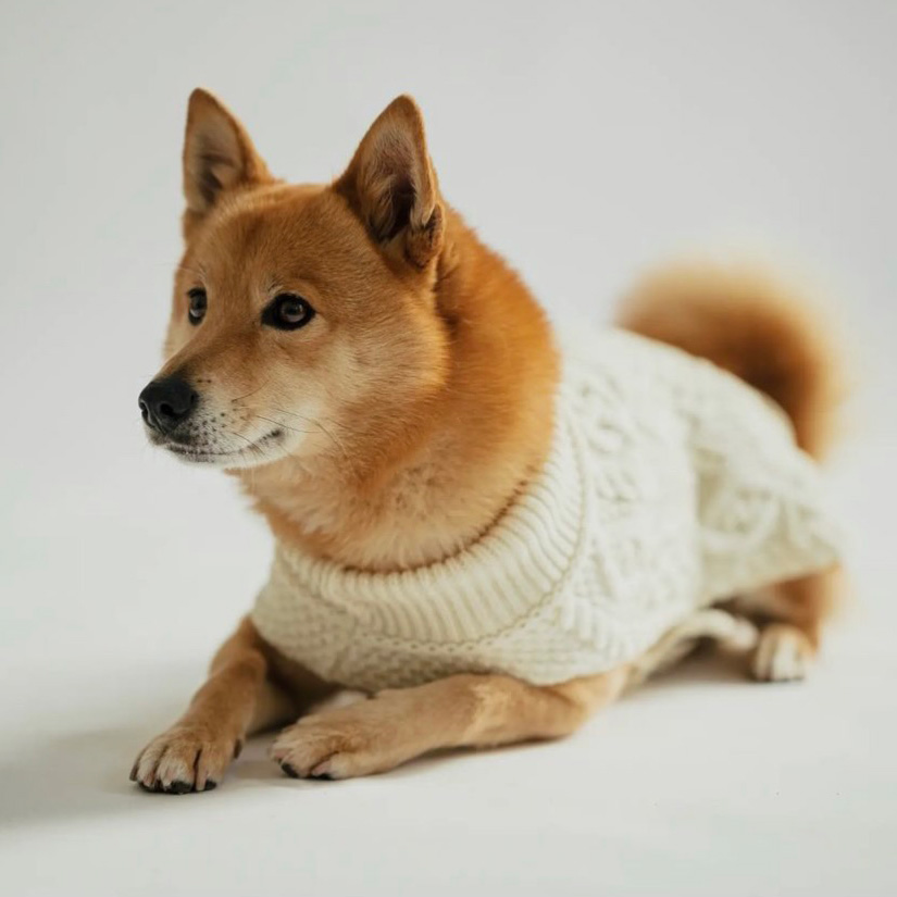dog coat, irish dog coats, aran dog coats, warm dog coats